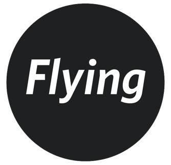 Flying | Digital Marketing | PWI